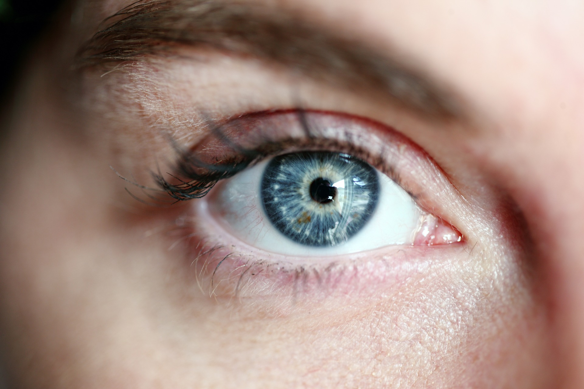 Der Aufbau des Auges Wie das menschliche Auge funktioniert